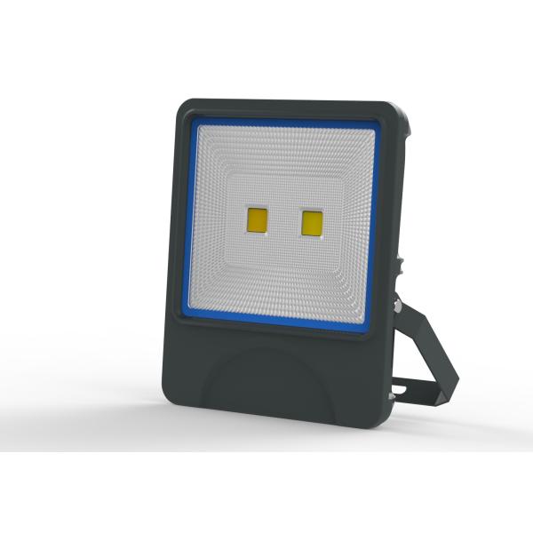 100W 150W high power led flood light lamp integrated design 2 pcs led cob chip IP66 meanwell driver 3 years warranty