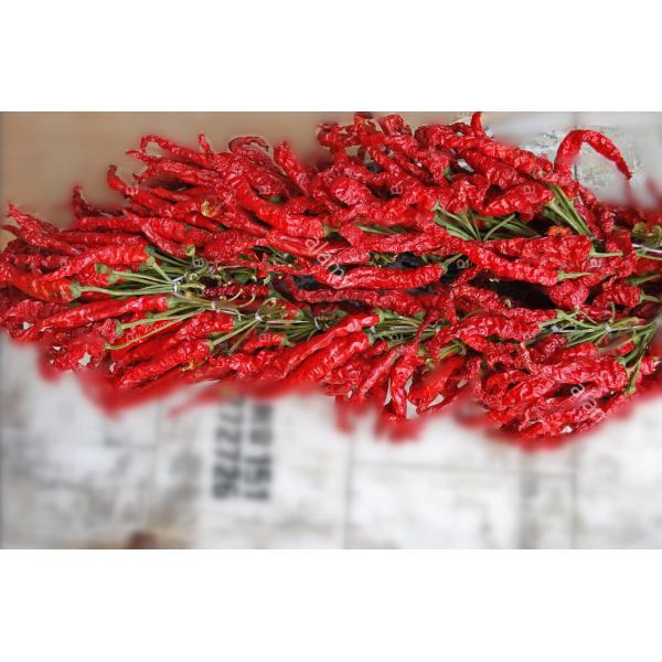 Sundried Xian Chilli SHU8000 Dried Red Chilli Peppers 8% Moisture