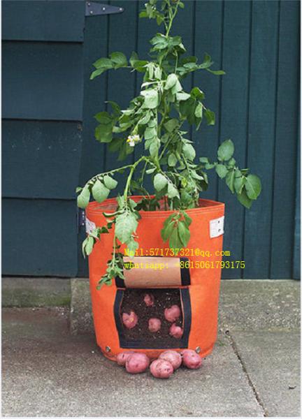 Cheap PP Fabric Plant Grow Bags Futuristic Appearance Superb Shock Mitigation Design for sale