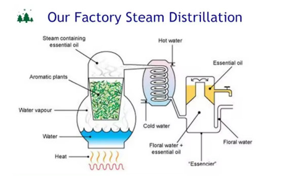 High Purity Soap Making Fragrance Essential Oil Freesia Fragrance