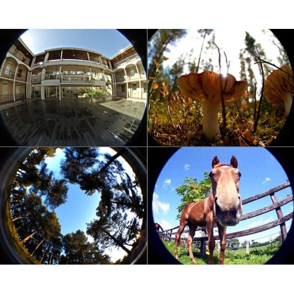 Popular Mobile phone lens fisheye lens 0.67x wide-angle photographic lens