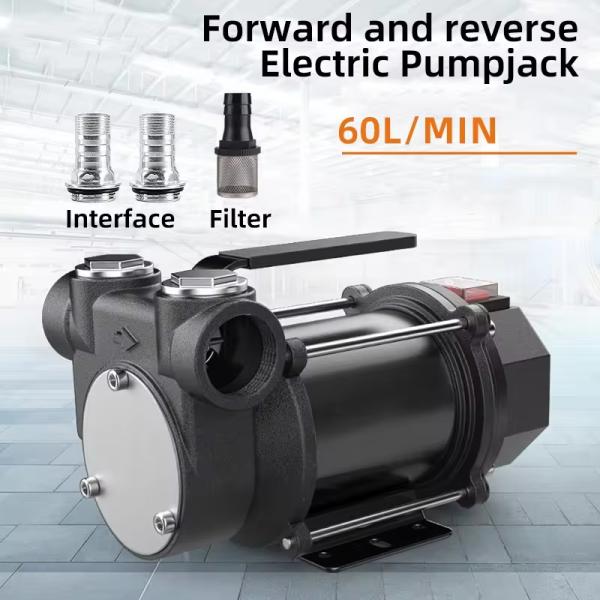 High Flow Compact Size 220 Volt 60L/min Electric Oil Portable Diesel Fuel Transfer Pump