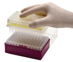 Singuway Blue Plastic PCR Pipette Tips Medical Pipette Tips For Multi Channel Pipette