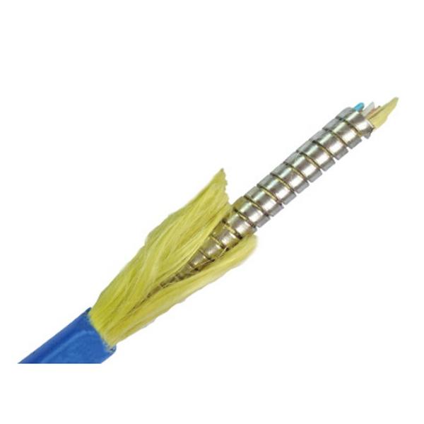 Armored Fiber Optic Patch Cable