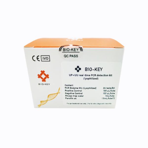Quality Ureaplasma Parvum Ureaplasma Urealyticum Real Time PCR Detection Kit Lyophilized wholesale