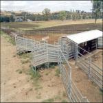 3.2 M Fixed Cattle Loading Ramp Portable Cattle Loading Ramp For Sheep Goats
