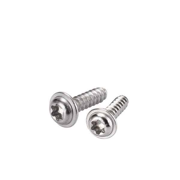 Metal Drilling Function Self-Tapping Screw Ss304 316 Stainless Steel Phillips Pan Head