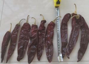 Quality Smooth And Leathery Guajillo Chili Peppers 2 - 4 Inches Size For B2B Buyers wholesale