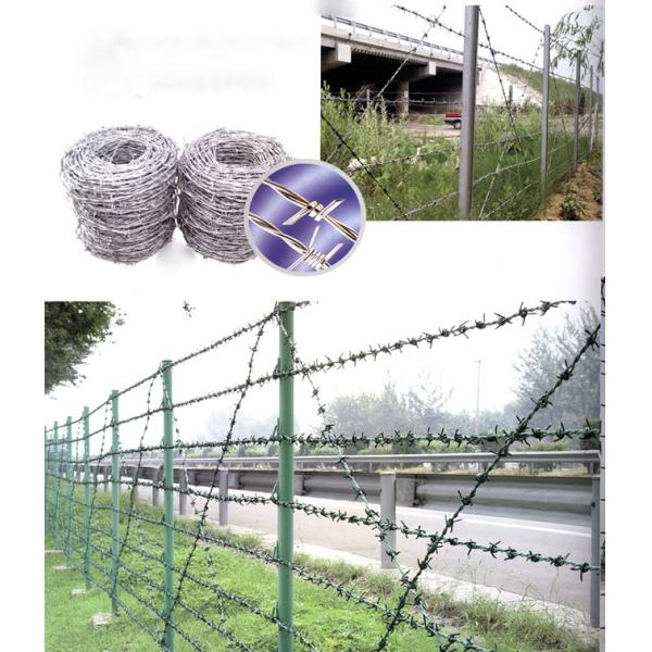 Customized Size High Tensile Barbed Wire 304 Stainless Steel Barbed Wire