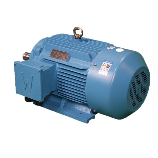 380V 400V 415V 660V Asynchronous Three Phase Motor For Power Station