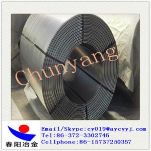 China Anyanng Ferro alloy CaSi / SiCa / Silicon Calcium / Alloy  Cored Wire 220g/m on sale