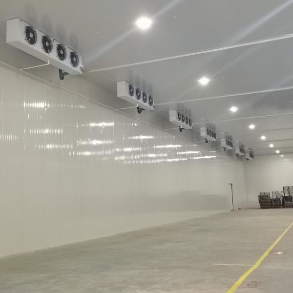 Fruit / Vegetable Freezer Cold Room Cold Storage Units For Fresh Keeping / Freezing