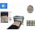 Clear Pattern Eggs Inkjet Batch Coding Machine With ABC Standard English Font