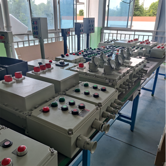 Flameproof Control Board With IP66/WF2 Protection For Hazardous Environments