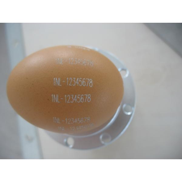 High Precision CO2 Laser Marking Machine , 10W Automatic Laser Marking Machine