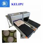 Egg Batch Coding Machine / Inkjet Date Code Printer For Trademarks Or Logo