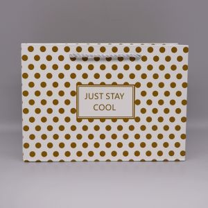 OEM / ODM Customization Twisted Handle Paper Packing Bag For Clothing