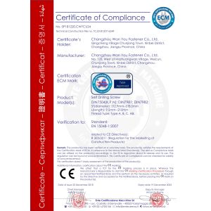Changzhou Wan You Fastener Co., Ltd. Certifications