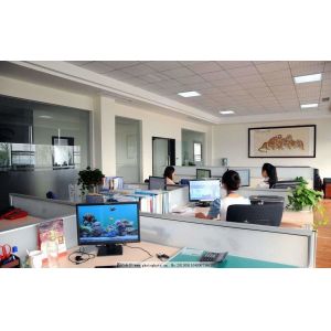 shanghai kerang technology co ltd