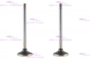China Engine Valve for VOLVO D7E on sale