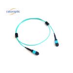 12 core Effortless Connectivity with MTP reg MPO network patch cord for SR4 and