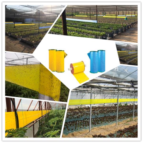 hot melt coating cockroach mouse pest glue insect trap board making machine