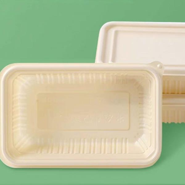 Takeout Fast Food Biodegradable Container Environmentally Friendly Bowls With Lid