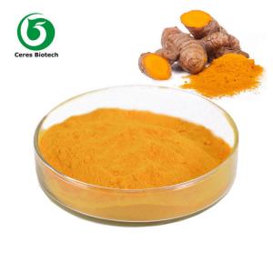Quality Natural Turmeric Curcumin Extract 95% for Anti-Inflammatory and Antioxidant wholesale