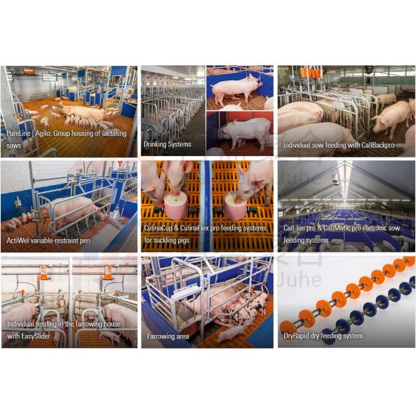 Farrowing Crate Steel Structure for Modern Farm Pig House Shed Hog Cote Winery Pigsty