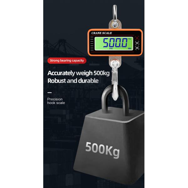 Blue Aluminum Alloy Stainless Steel Precision Hanging Crane Weighing Scale 100kg 300kg 500kg 1000kg 1t With OIML Approval