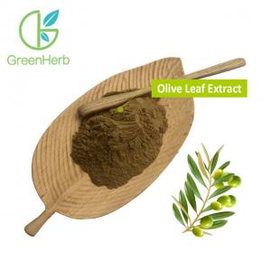 Quality Pure Natural Herb Oleuropein Olive Leaf Extract Hydroxytyrosol Brown Fine Powder wholesale