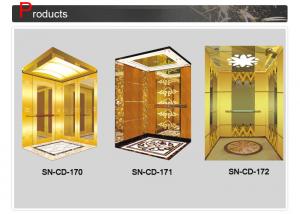 Quality Golden Side Panel St . St Vault Panel Car Ceiling With Lights Decoration wholesale