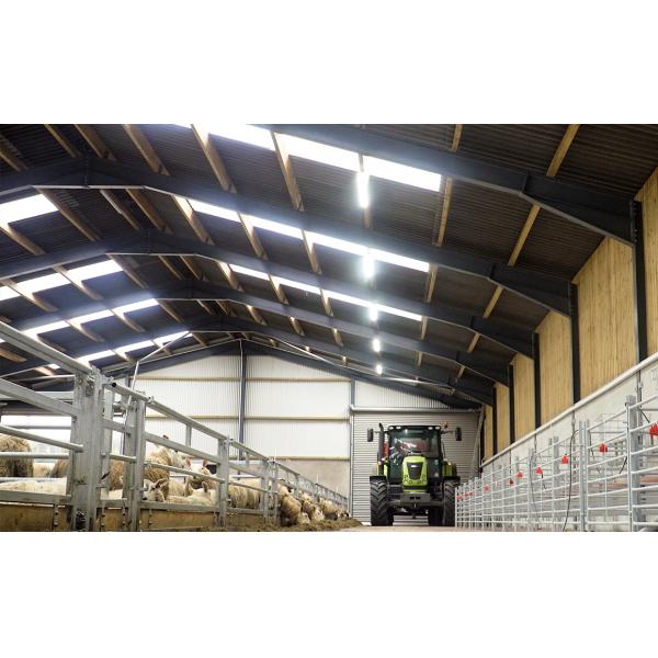 Prefabricated Barns for Cattle Horses Goats and Sheep Fast Build Steel Structure