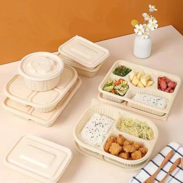 Bagasse Sugarcane Disposable Plates Machine Wheat Straw Plate Making Machine