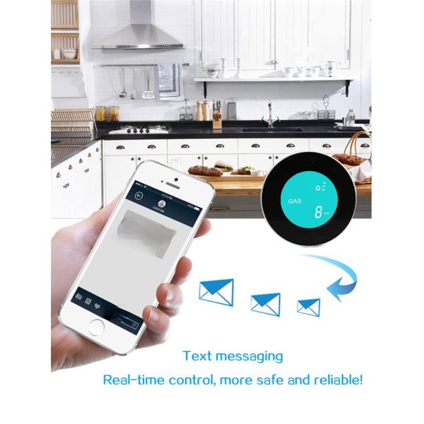 Wi-Fi Gas Leaking Detector(PA-210W)
