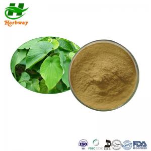 China Kava Extract Powder HPLC 30% Kavalactone CAS 9000-38-8 Piper Methysticum Extract on sale