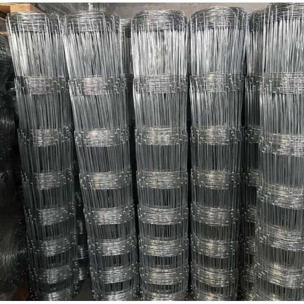 Galvanized Fixed Knot Field Fence Metal Iron White Garden Fence Aluminum Fence Low Carbon Steel Wire Main Iron Gate Designs