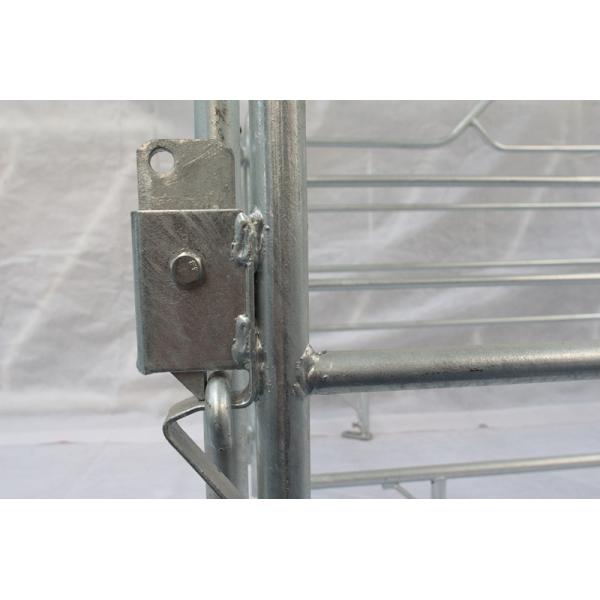 Custom Made Swine Farrowing Crates Good Heat Preservation Acid Resistance