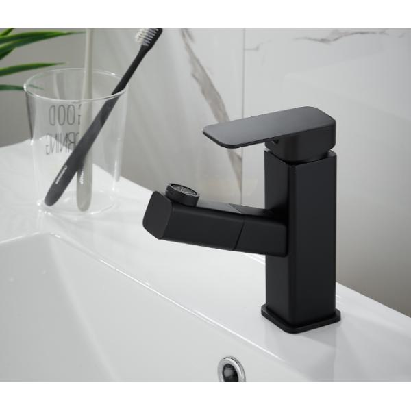 SUS314 Rotatable Sink Pull Out Dual Spout Kitchen Tap Sanitary