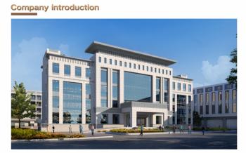 Shenzhen GoFull Technology Co., Ltd.