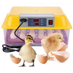 Quality Equipped 24 Mini Turntable Automatic Incubators For Chicken And Bird Egg Care wholesale