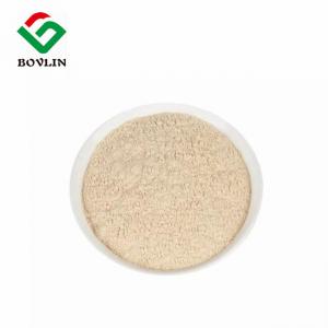Quality Organic Psyllium Husk Powder Fiber Supplement for health care wholesale