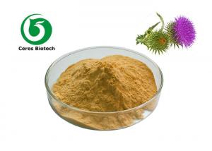 Quality 80% Silymarin Milk Thistle Extract Powder Herb Extract Natural Supplement wholesale