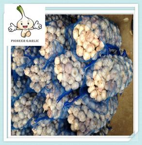 Quality China good quality of 5.0cm New Fresh White Garlic for wholesale market price wholesale