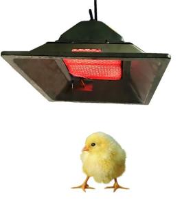 Quality 4 Model Chicken Brooder Gas Heater LPG NG Biogas Gas Brooder In Poultry wholesale