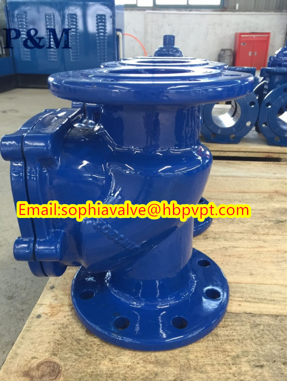 DIN PN10 PN16 Swing check valve