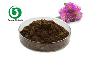 China Fine Red Clover Extract Isoflavones 20% 40% Healthy Herbal Extract Anti Spasm on sale