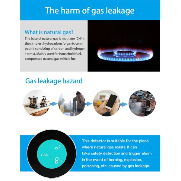 Wi-Fi Gas Leaking Detector(PA-210W)