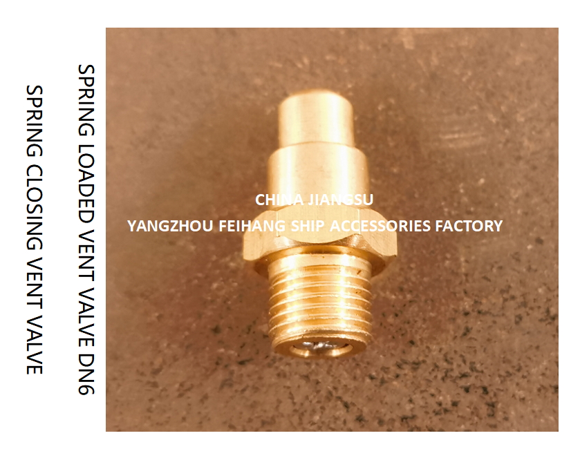 DN6 Brass Spring Loaded Vent Valve with Threaded Ends and CB/T3778-1999 Standard