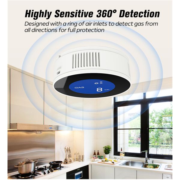 Wi-Fi Gas Leaking Detector(PA-210W)